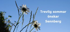Sommar