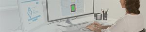 Loopworks Design